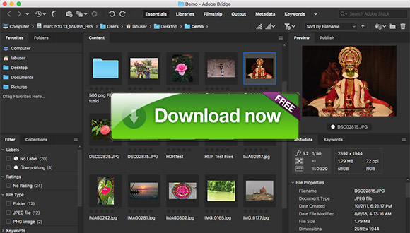 Adobe bridge free download windows